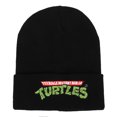 thumbnail image 1 of Teenage Mutant Ninja Turtles Logo Beanie, 1 of 4