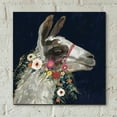 thumbnail image 6 of Epic Art 'Lovely Llama I' by Victoria Borges, Acrylic Glass Wall Art, 12"x12", 6 of 8
