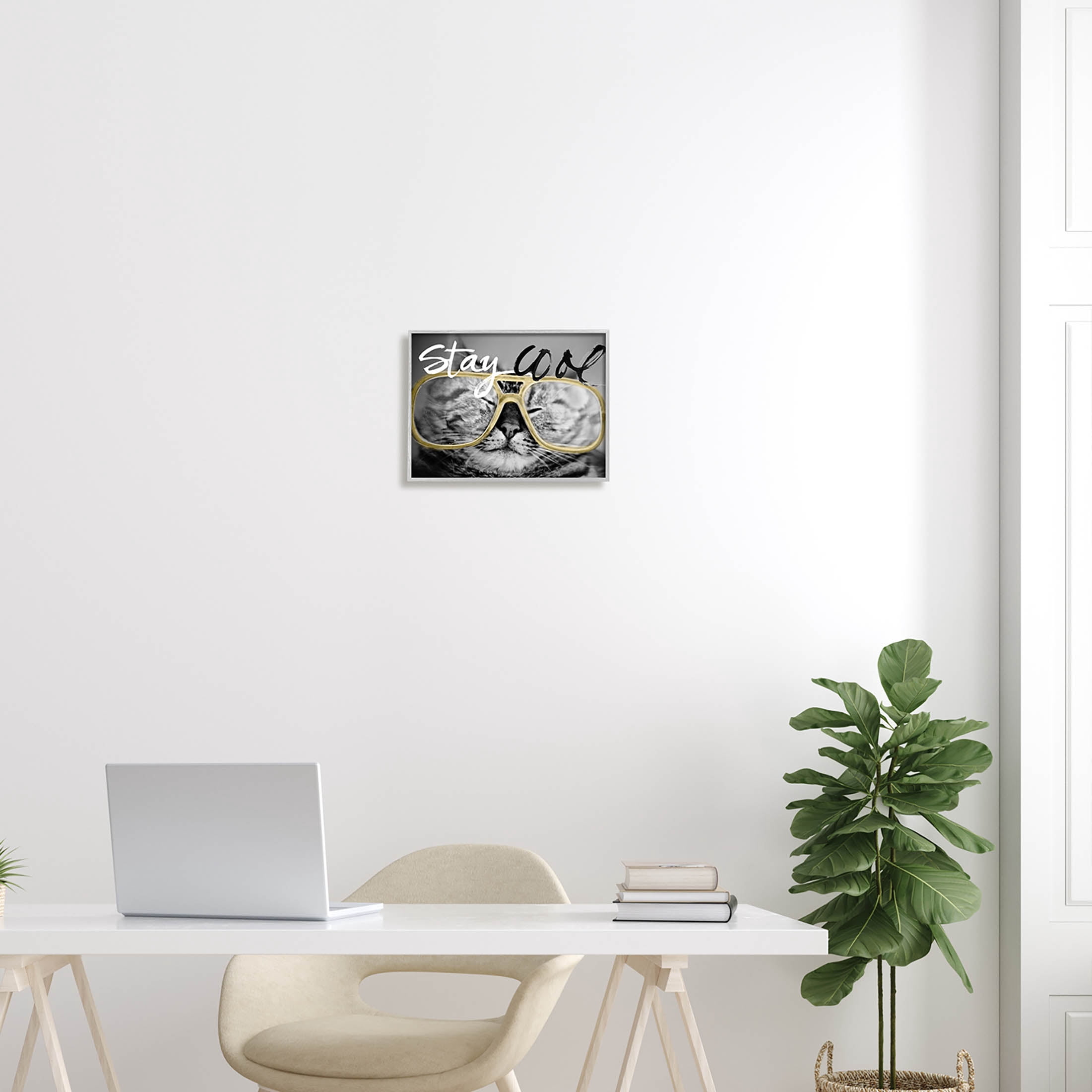 Stupell Industries Stay Cool Cat Glasses Graphic Art Gray Framed Art Print Wall Art, Design by Sundance Group