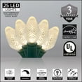 thumbnail image 2 of Wintergreen Lighting C7 LED Warm White Christmas Lights, Set of 25, 8" Spacing – Green Wire, 2 of 7