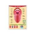 thumbnail image 1 of Póster El Gusto Educatodo B-0041-I, 1 of 2