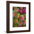 thumbnail image 1 of Rambutan for Sale at or Tor Kor Market, Framed Art Print Wall Art by Austin Bush Sold by Art.Com, 1 of 5