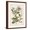 Brown Frame, variant on Art.com Vintage Flowering Trees III Art Print by 0 Unknown, 12" x 16"
