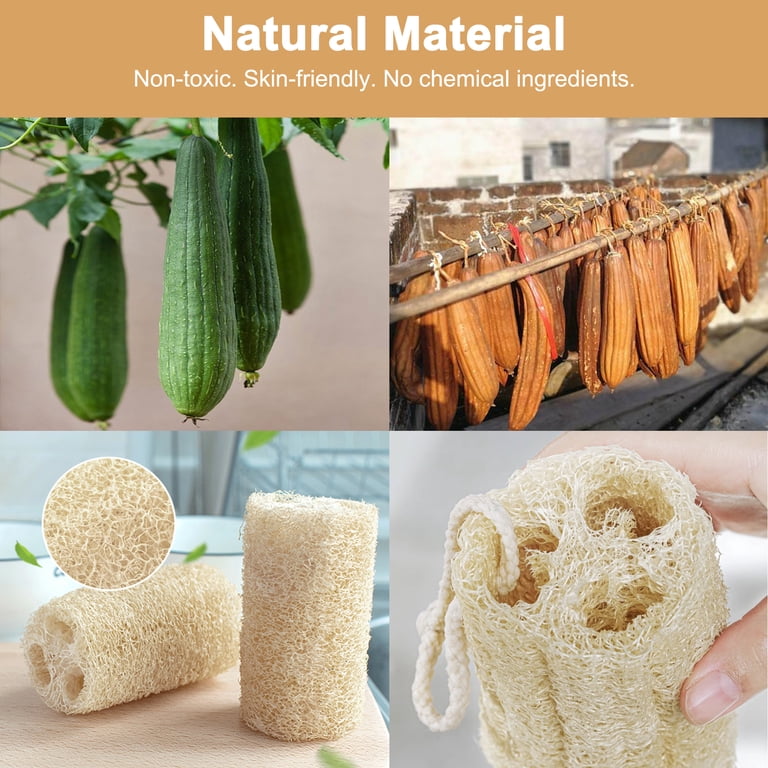 TSV Natural Loofah Pads Set, Back Scrubber Kit photo 2