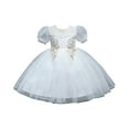 thumbnail image 1 of FAIWAD Robe Princesse à Manches Courtes pour Filles, Dentelle Brodée, Tulle, Robes Bouffantes, Robe de Fête d'Anniversaire à Étages en Tulle pour Enfants, 1 of 6