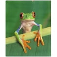 thumbnail image 3 of ZHANZZK 3 Piece Bedding Set Lovely Frog Twin Size Duvet Cover with 2 Pillowcase for Home Bedding Room Decoration, 3 of 4