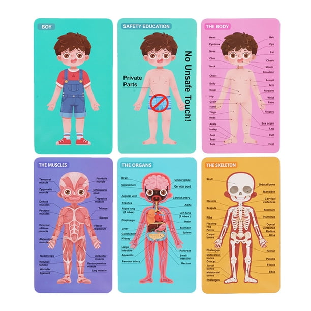 1 juego de la parte del cuerpo Puzzle juguete niños educativos jigsaw jugando juguete de madera