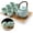Cyan-blue, variant on Japanese Tea Set, Black Porcelain Tea Set with 1 Teapot Set, 6 Tea Cups, 1 Tea Tray, 1 Stainless Infuser, Beautiful Asian Tea Sets for Adults, Tea Lover/Women/Men (Countryside in Golden)