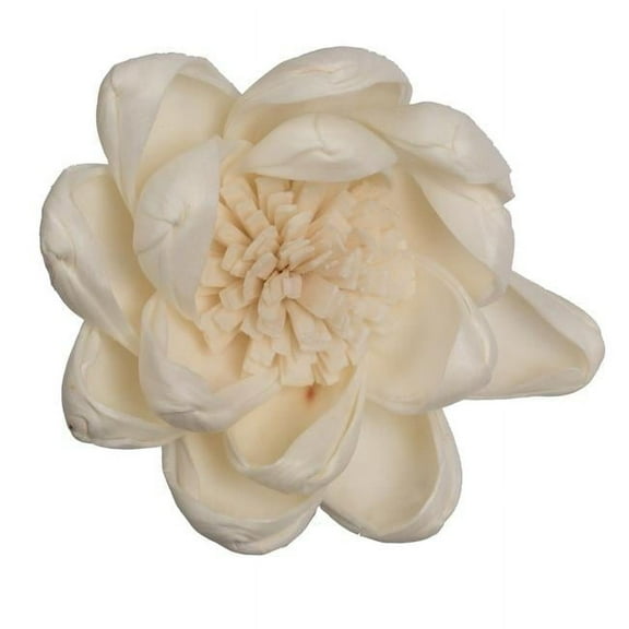 Vickerman 686416 - 1-3" Assorted Crocus Sola Head 24/bg (H7SFL060) Dried and Preserved Flowers