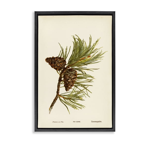 Stupell Industries Fir Tree Cones Plants & Flowers Painting Black Floater Framed Canvas Art Print Wall Art, 17 x 25