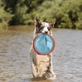 thumbnail image 2 of Juguete de Disco Volador para Perros Chuckit! Paraflight Flotante en Agua, 2 of 9