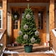 thumbnail image 4 of Juego de adornos para árbol de Navidad | Paquete de 3 bolas decorativas para interiores y exteriores | Colgantes de plástico para fiestas, bodas y decoración festiva, 4 of 6