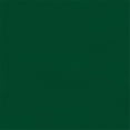 thumbnail image 1 of Auvents et Enseignes Rétro-Éclairés de 61 Po et 44; Vert, 1 of 1