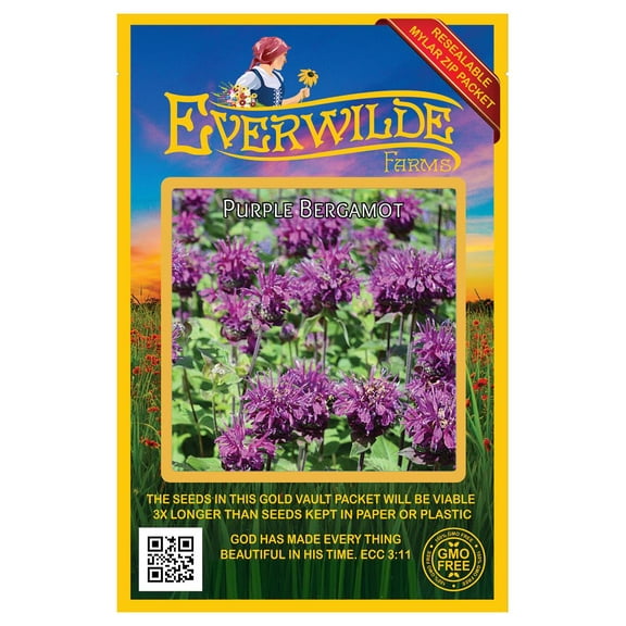 Everwilde Farms 1750 Purple Bergamot Plant Seeds, Native Wildflower