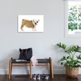 thumbnail image 4 of English Bulldog Puppy in Studio, Animals World Culture Unframed Photographic Print Wall Art Sold by Art.Com, 4 of 4