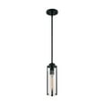 thumbnail image 4 of 60/7160-Nuvo Lighting-Marina-1 Light Mini Pendant in Modern/Contemporary Style-4.75 Inches Wide by 13.25 Inches High-Matte Black Finish, 4 of 9