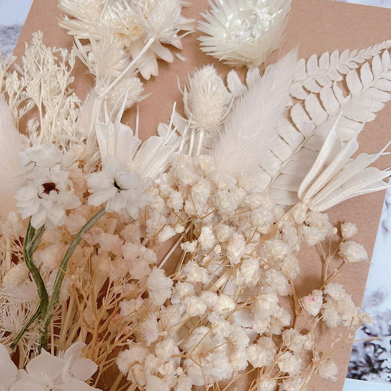 Dried Flowers Crafts