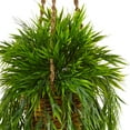 thumbnail image 2 of Nearly Natural 43" Mini Bamboo Artificial Plant Hanging Basket, Green, 2 of 3