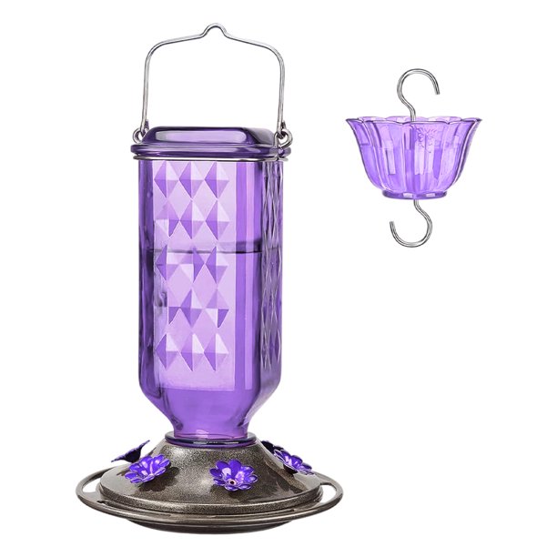Alimentadores Colibríes Vidrio Con 4 Puerto Protección Abejas Y Hormigón Colgando Al Aire Libre () Púrpura