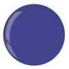 Grape Crush Deep Purple