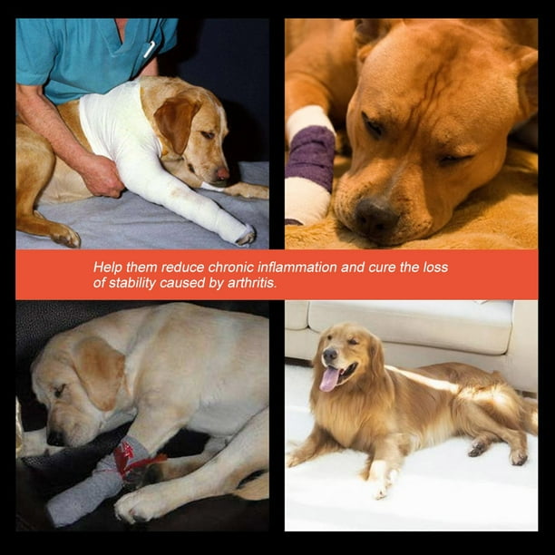 Dog leg bandage 2025