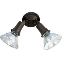 2 Light - 10" - Flood Light, Exterior - PAR38 w/Adjustable Swivel