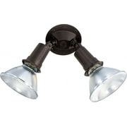 2 Light - 10" - Flood Light, Exterior - PAR38 w/Adjustable Swivel