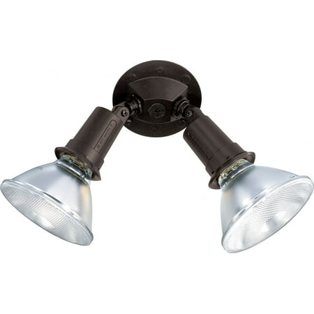 2 Light - 10" - Flood Light, Exterior - PAR38 w/Adjustable Swivel