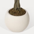 thumbnail image 4 of QinaQin Árbol artificial de cerezo rosa con tronco natural, disponible en 5 o 6 pies, ideal para decoración interior o exterior en hogar y oficina, 4 of 8