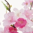 thumbnail image 6 of Elements Realistic Look and Feel Artificial Cherry Blossom Arrangement in Clear Glass Vase, 6 of 6