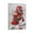 Frame-style, variant on Xavier Worthy Canvas Poster Canvas Poster Wall Art Picture Prints Hanging Photo Gift Decor Home Posters Artworks 12x18inch(30x45cm)