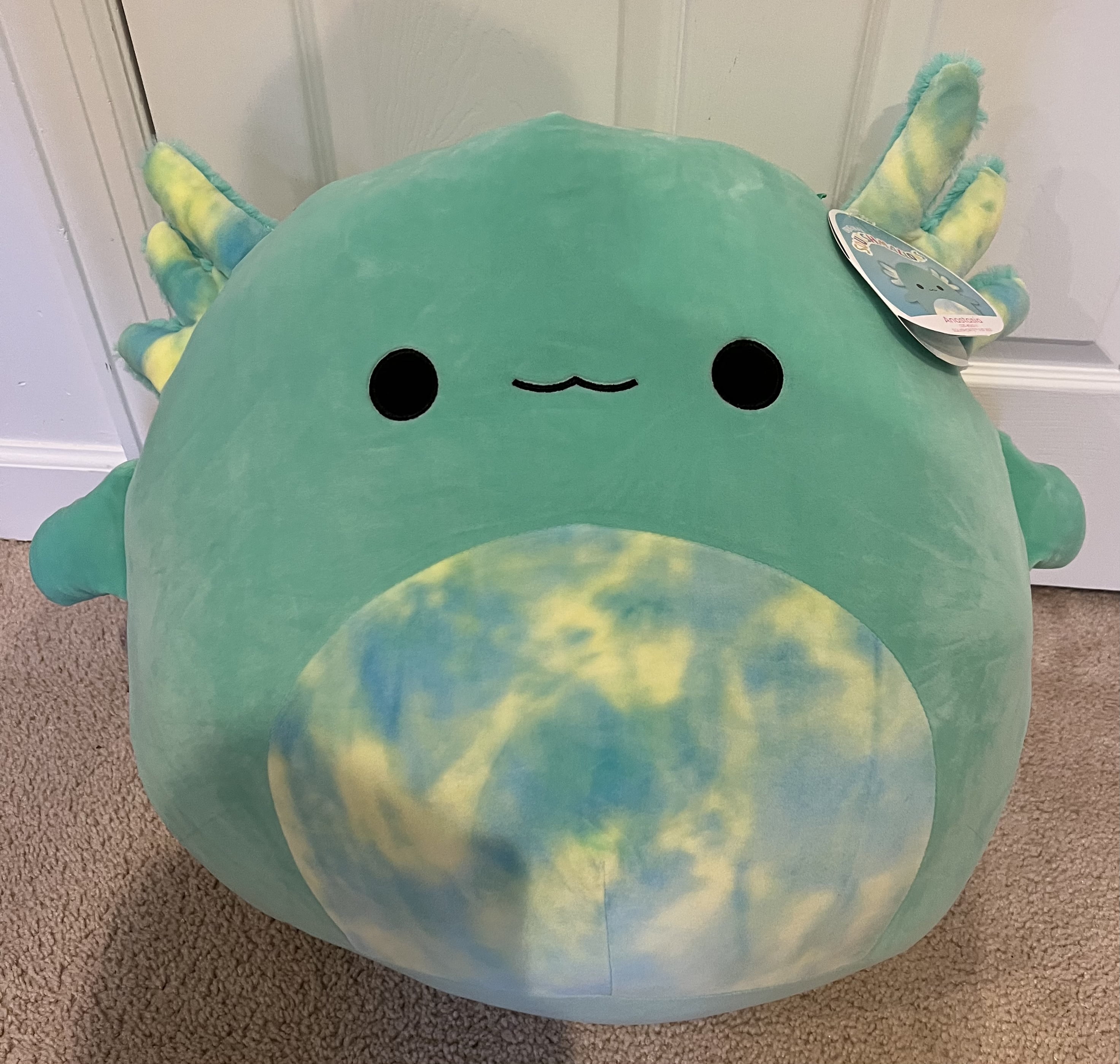 Squishmallows Anastasia the Axolotl Stuffed Plush - www.perforatedmetalsheets.com