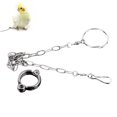 thumbnail image 1 of Amdohai Pet Parrot Ankle Foot Chains Stainless Steel Bird Rings Outdoor Flying Training Activity Opening, 1 of 8