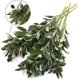 thumbnail image 4 of Paquete de 5 ramas de olivo, plantas artificiales, tallos verdes, hojas de olivo, frutas falsas, plantas de seda-niubi kaili Sencillez, 4 of 5