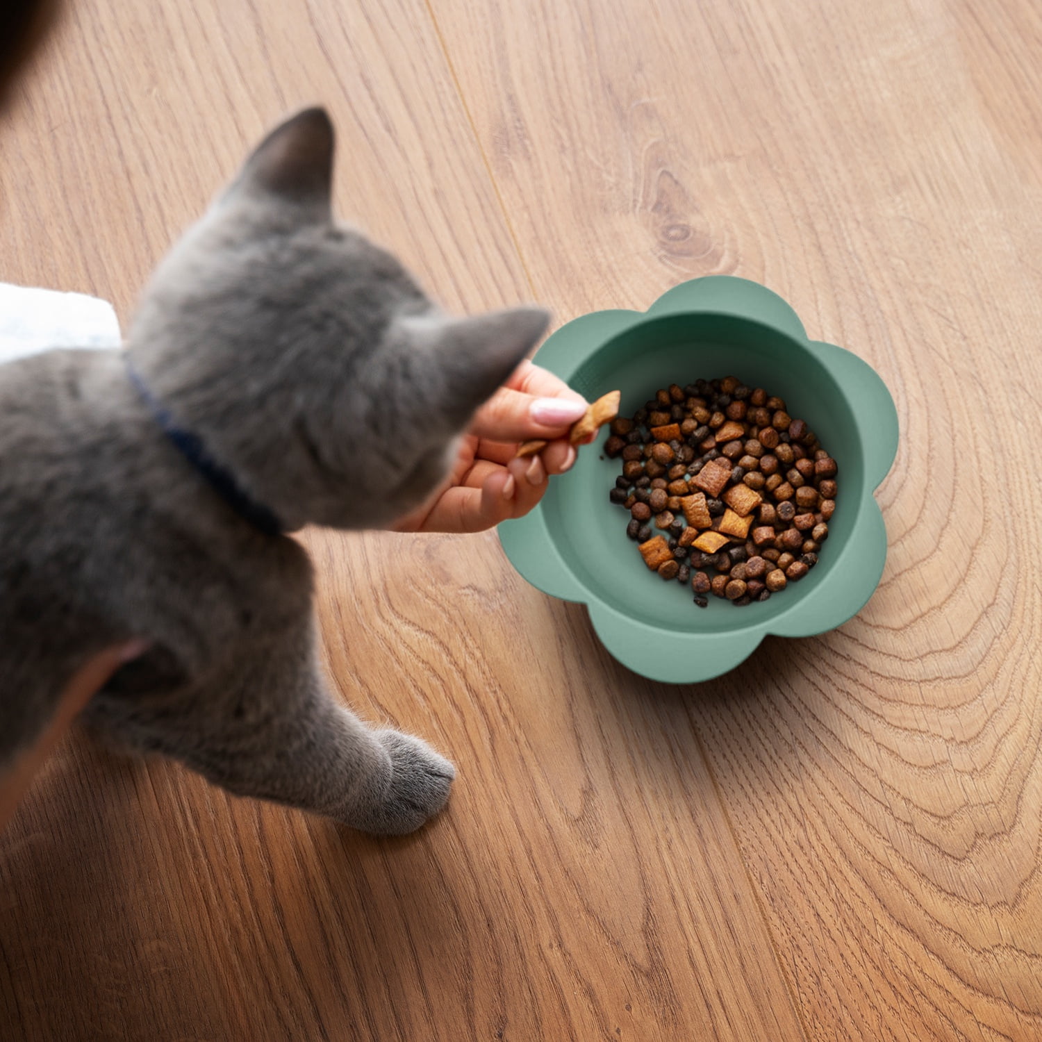 P.T. Supply Co. Green Small Flower-Shaped Silicone Pet Bowl with Non-Slip Suction Base