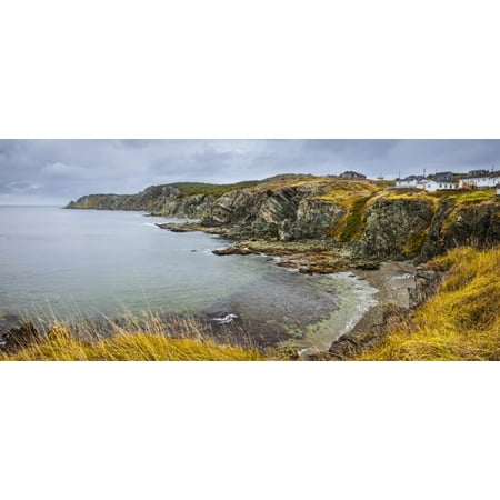 Rugged Atlantic coastline with golden fields and a cloudy sky; Newfoundland, Canada Poster Print by Susan Dykstra / Design Pics