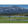 thumbnail image 2 of Galloimages Online 32x23 Gold Ornate Wood Framed with Double Matting Museum Art Print Titled - Bison By River, 2 of 4