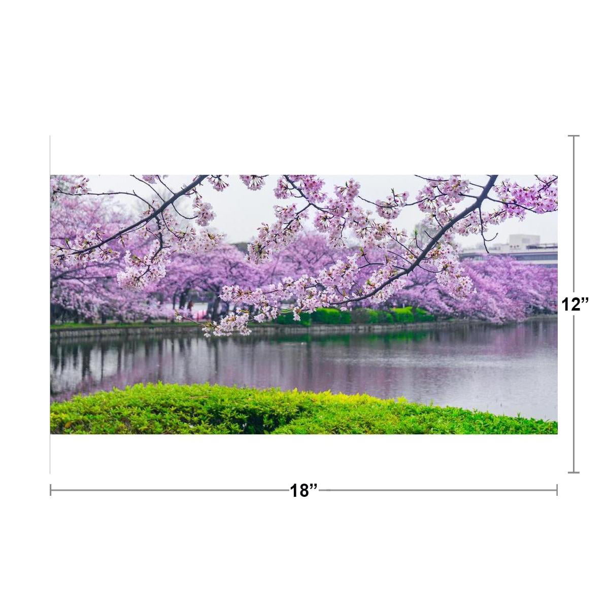 Cherry Blossoms In Bloom Flowering Trees Photo Art Print Poster 18x12 inch 