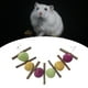thumbnail image 1 of Juguetes para masticar conejo juguetes para hámster, conejillos de de natural, juguetes para masticar , juguetes con de Colco pelota de ejercicio para hámster, 1 of 8