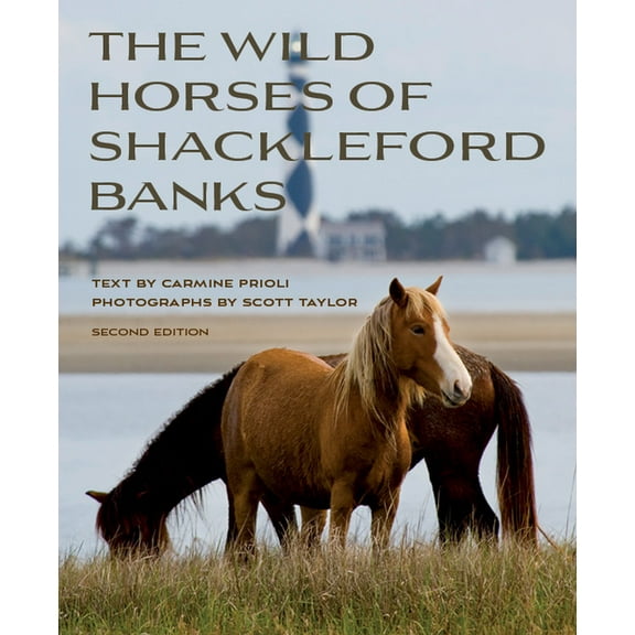 Wild Horses of Shackleford Banks, (Paperback)