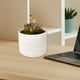 thumbnail image 5 of Maceta para Suculentas | Maceta Decorativa de Plástico Duradero para Interior | Acabado Brillante | Base Antideslizante | Ideal para Plantas de Escritorio y Cactus | Blanco, Negro, Gris, 5 of 6