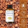 thumbnail image 3 of MAJESTIC PURE Frankincense Essential Oil | 100% Pure and Natural Frankincense Oil | Premium Grade Essential Oils for Hair Care, Home Diffusers, Skin, Aromatherapy, Massage and Humidifiers | 4 Fl Oz, 3 of 8