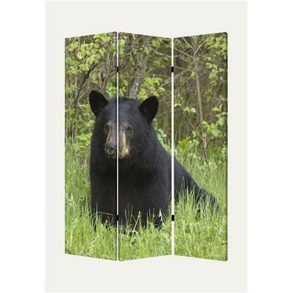 72''H Bear Screen