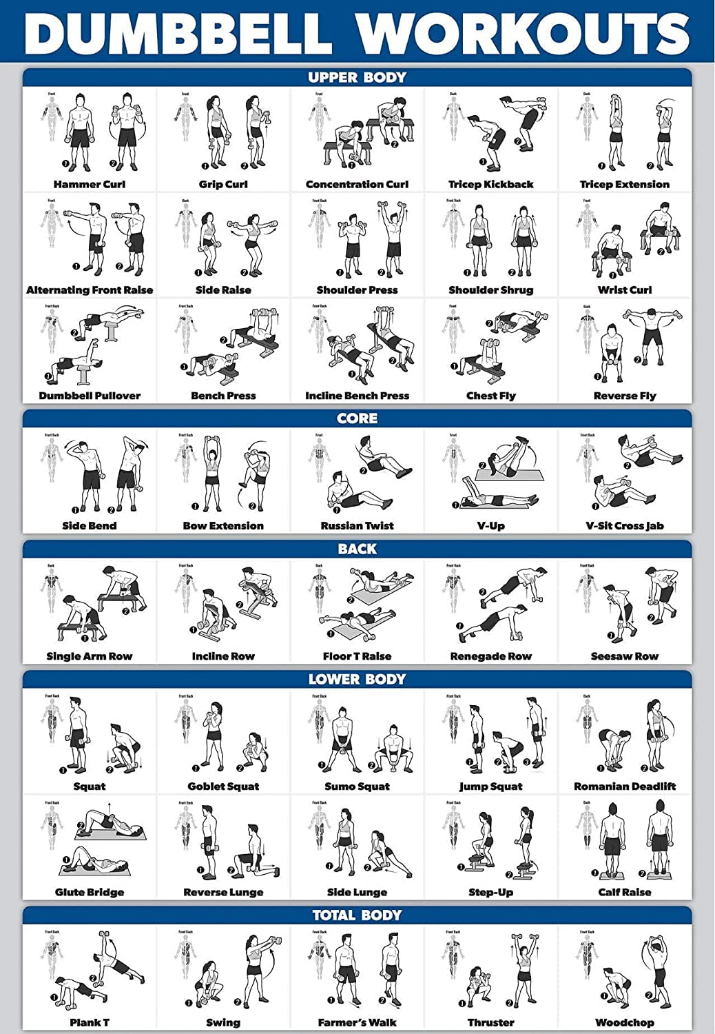 7 Exercise Workout Gym Posters 30x20 Laminated Fitness Charts 