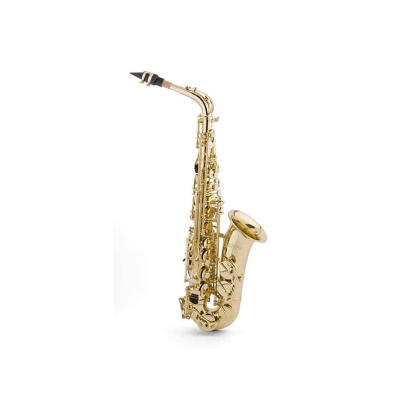 290AL Alto Saxophone Outfit