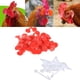 thumbnail image 1 of Gafas de ojo de pollo de 100 piezas, gafas antipicoteo para pollos, equipo para granja de pollos, equipos y suministros para cría de pollos, 1 of 5