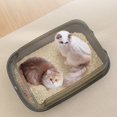 thumbnail image 6 of Open Cat Litter Box with High Side, Anti-Splashing Cats Litter Pan, Cat Toilet with Litter Sifting Scoop, Semi-Enclosed Removable Litter Box for Kittens Easy to Clean No Odork, 6 of 6