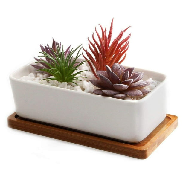 Macetas rectangulares de cermica para suculentas de 16,5 cm, macetas para  cactus, macetas pequeas con platillo, color blanco | Bodega Aurrera en  lnea