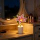 thumbnail image 1 of Luz de noche en maceta con rosas – Lámpara de escritorio a pilas para decorar el dormitorio y regalos románticos, 1 of 6