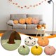 thumbnail image 2 of Uuiauoio Simulated Fall Pumpkin Throw Pillow Cushion Halloween Decoration Pumpkin Plush Stuffed Throw Pillow for Autumn Thanksgiving Bedroom Sofa, 2 of 2